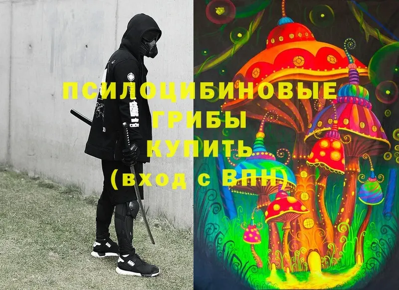 мега сайт  Валдай  Галлюциногенные грибы Psilocybe 